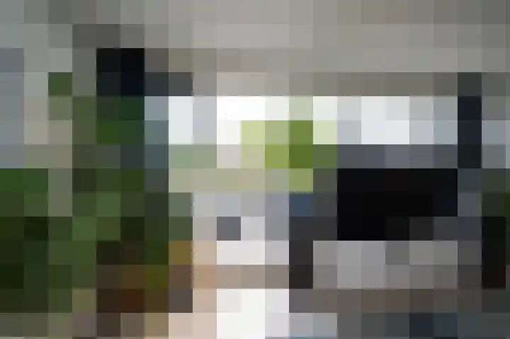 Van der Laenstraat 122 Zwolle thumbnail 5