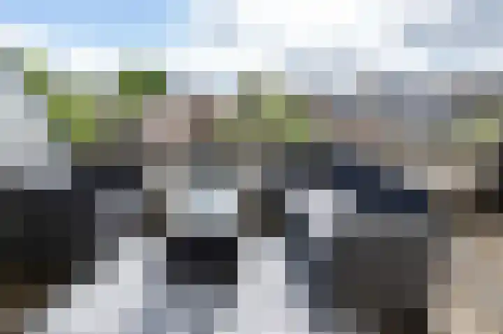 Van der Laenstraat 122 Zwolle thumbnail 7