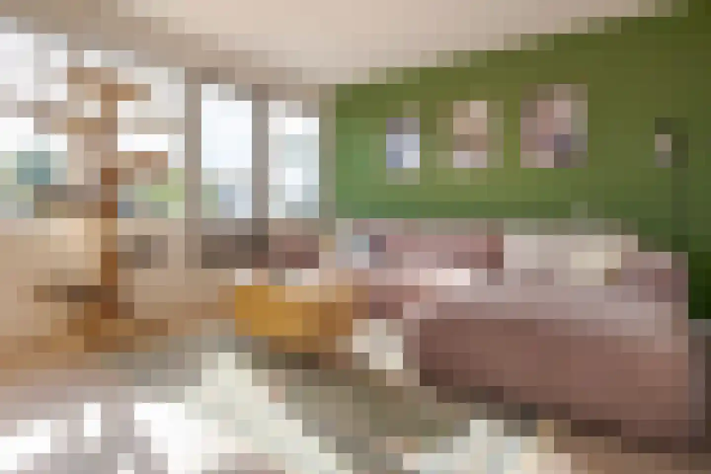 Van der Laenstraat 124 Zwolle thumbnail 16