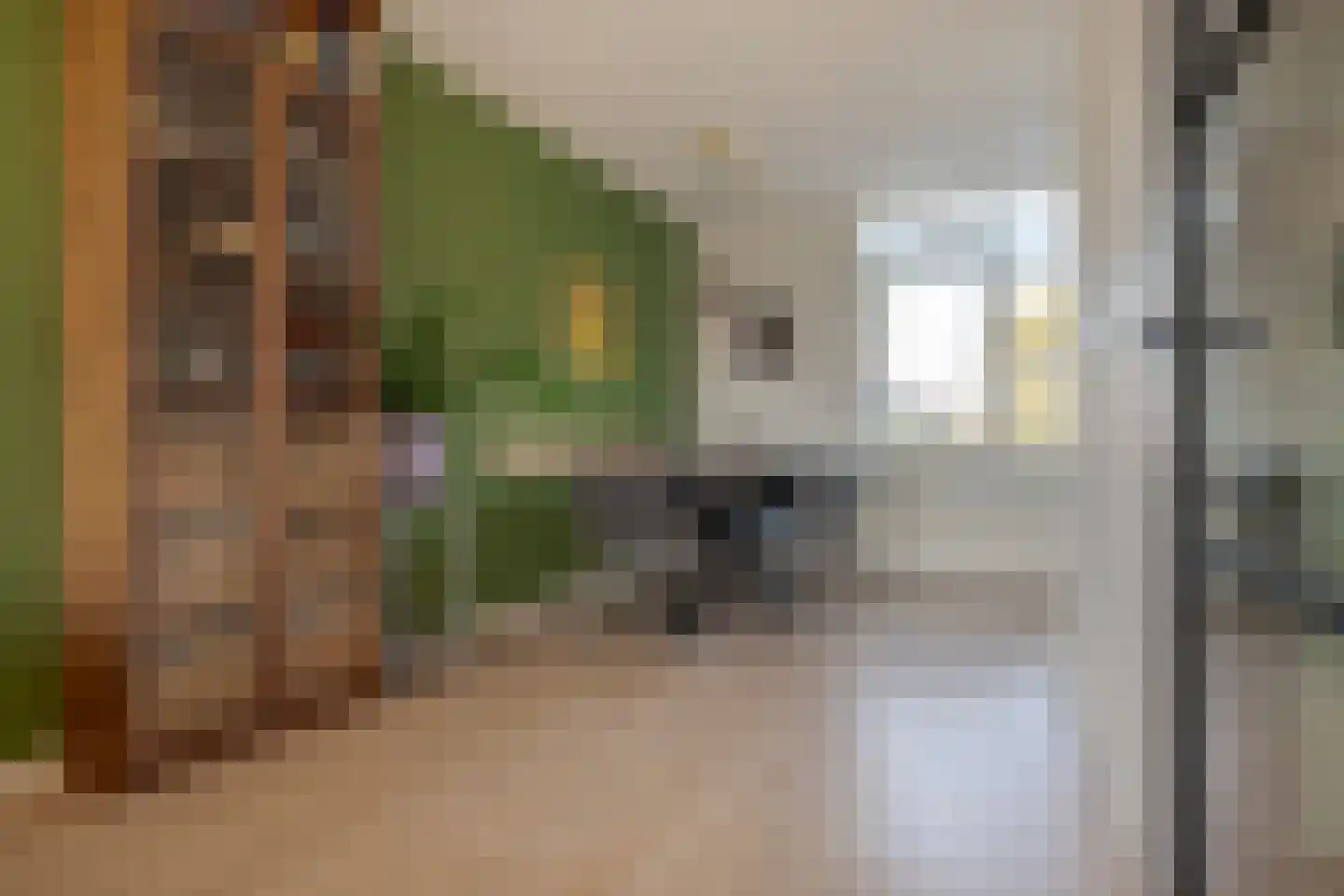Van der Laenstraat 124 Zwolle thumbnail 17