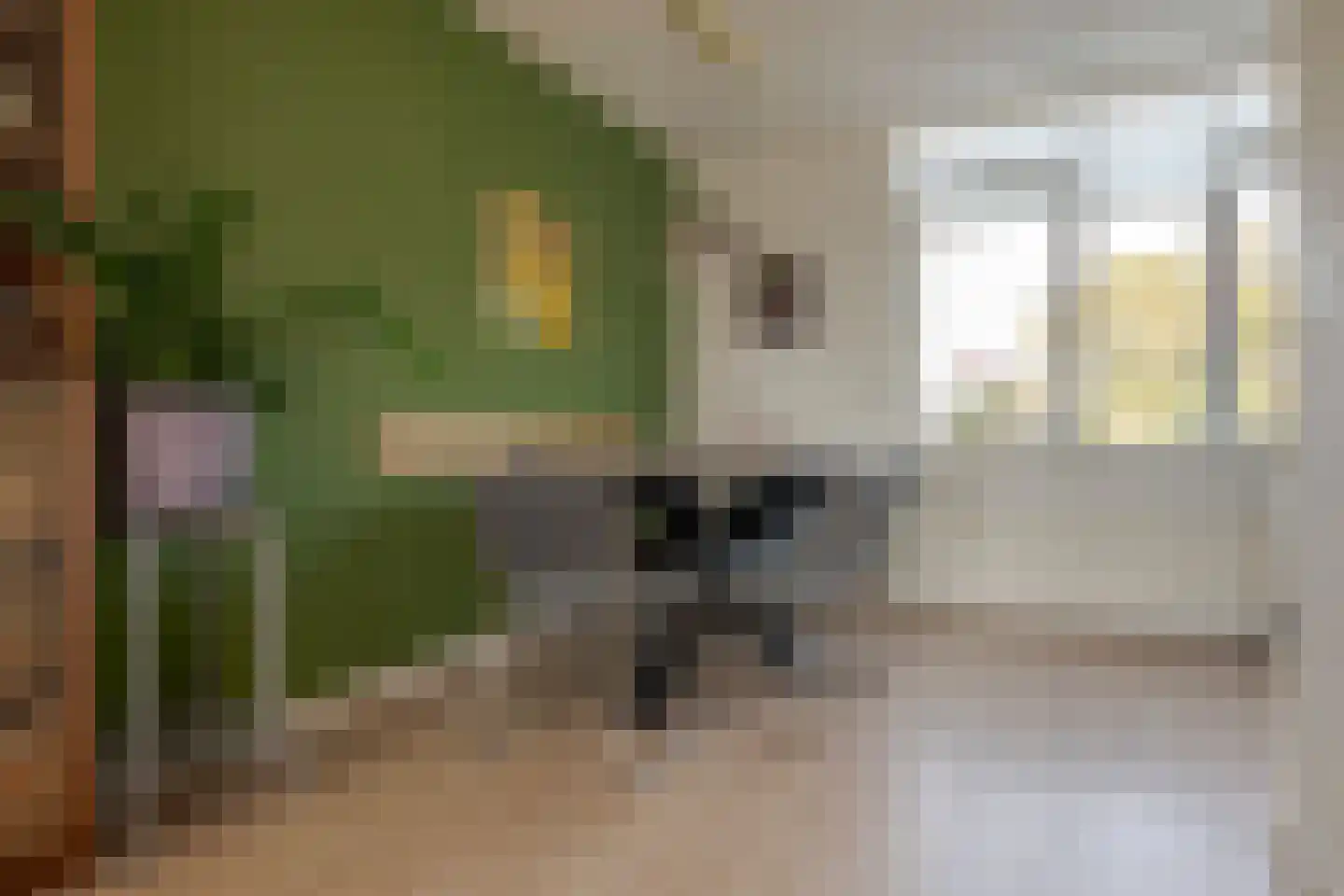 Van der Laenstraat 124 Zwolle thumbnail 18