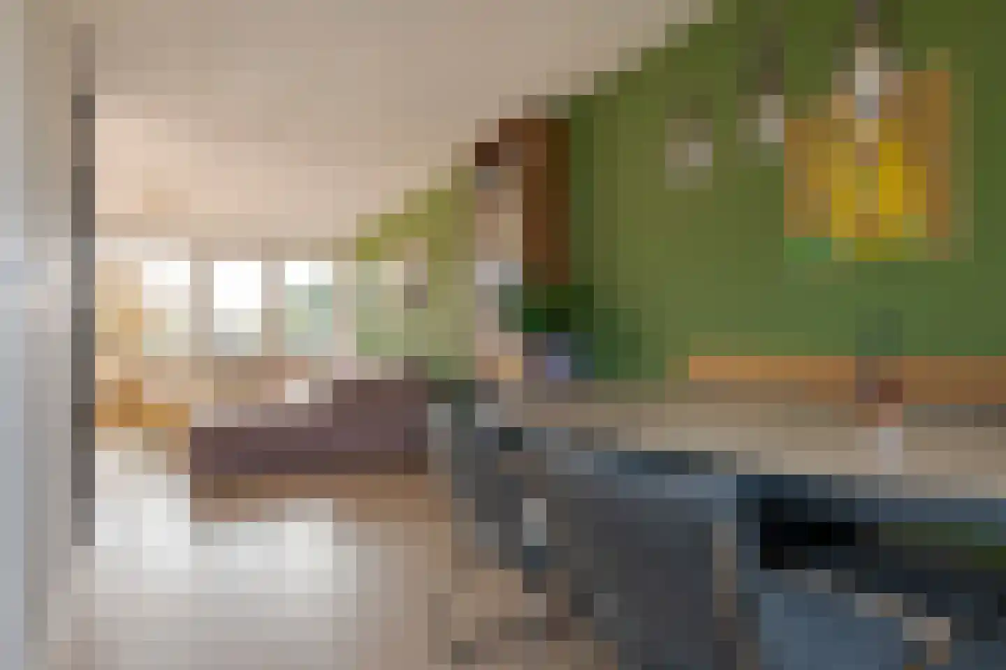 Van der Laenstraat 124 Zwolle thumbnail 20