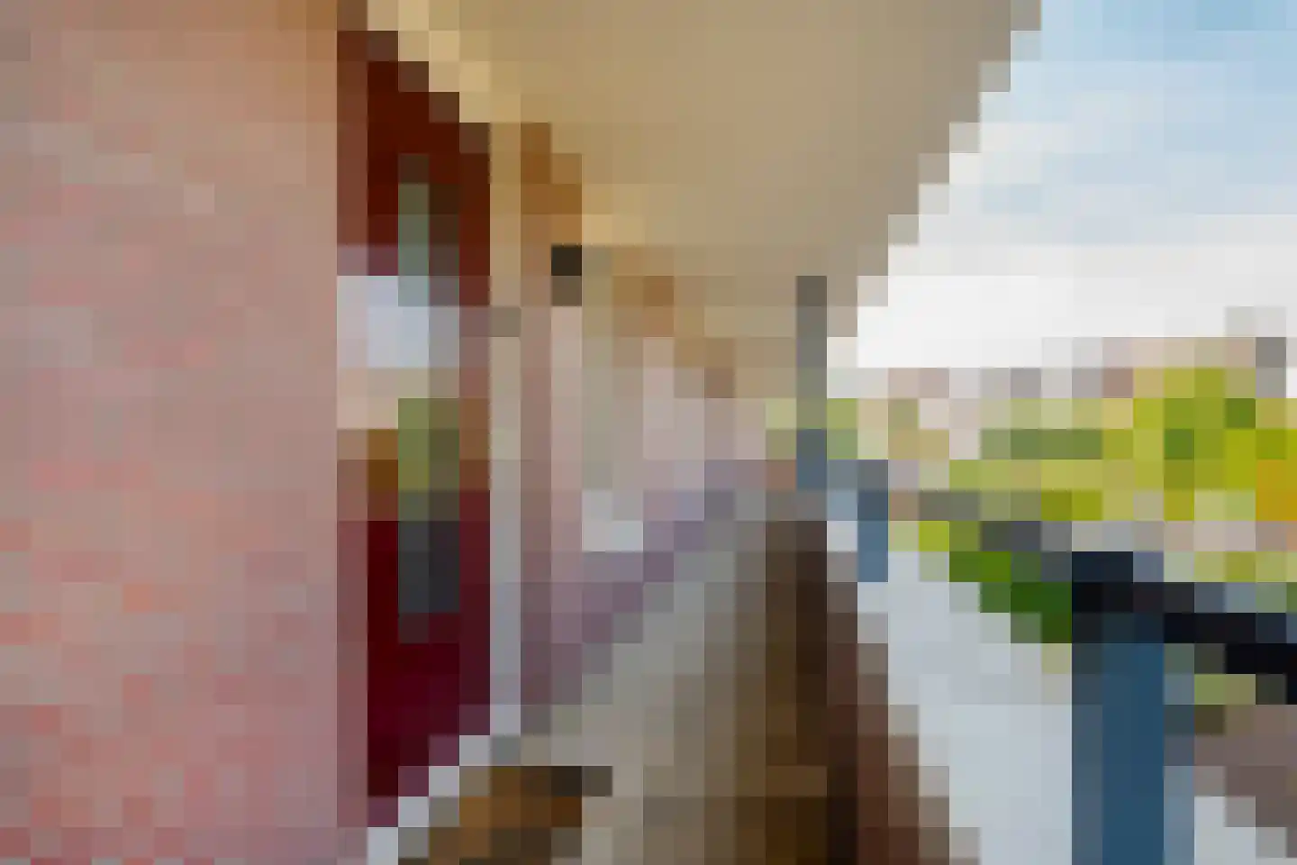 Van der Laenstraat 124 Zwolle thumbnail 36