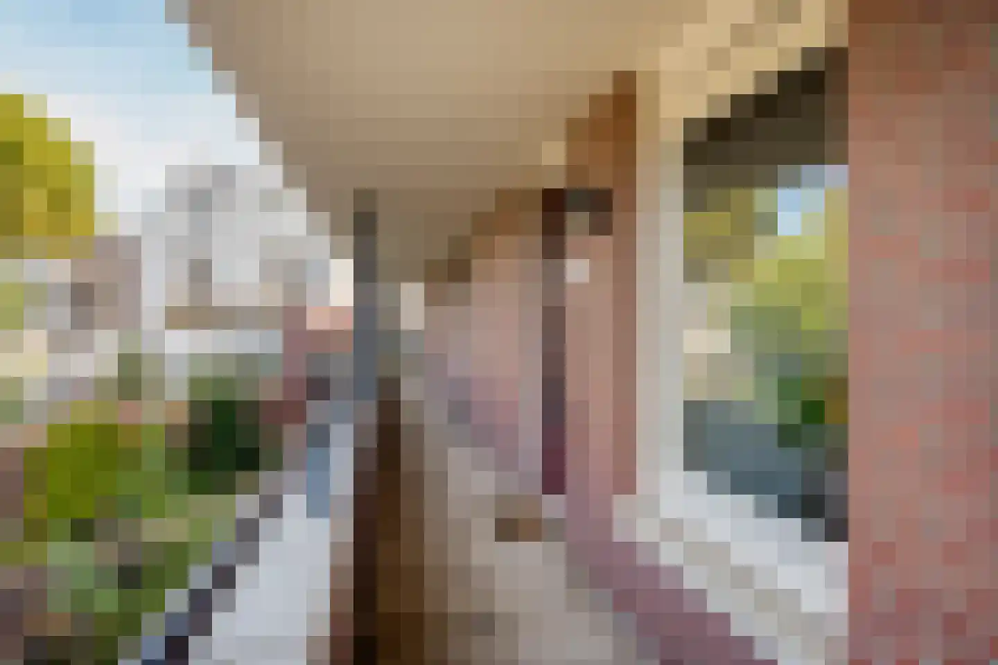 Van der Laenstraat 124 Zwolle thumbnail 37