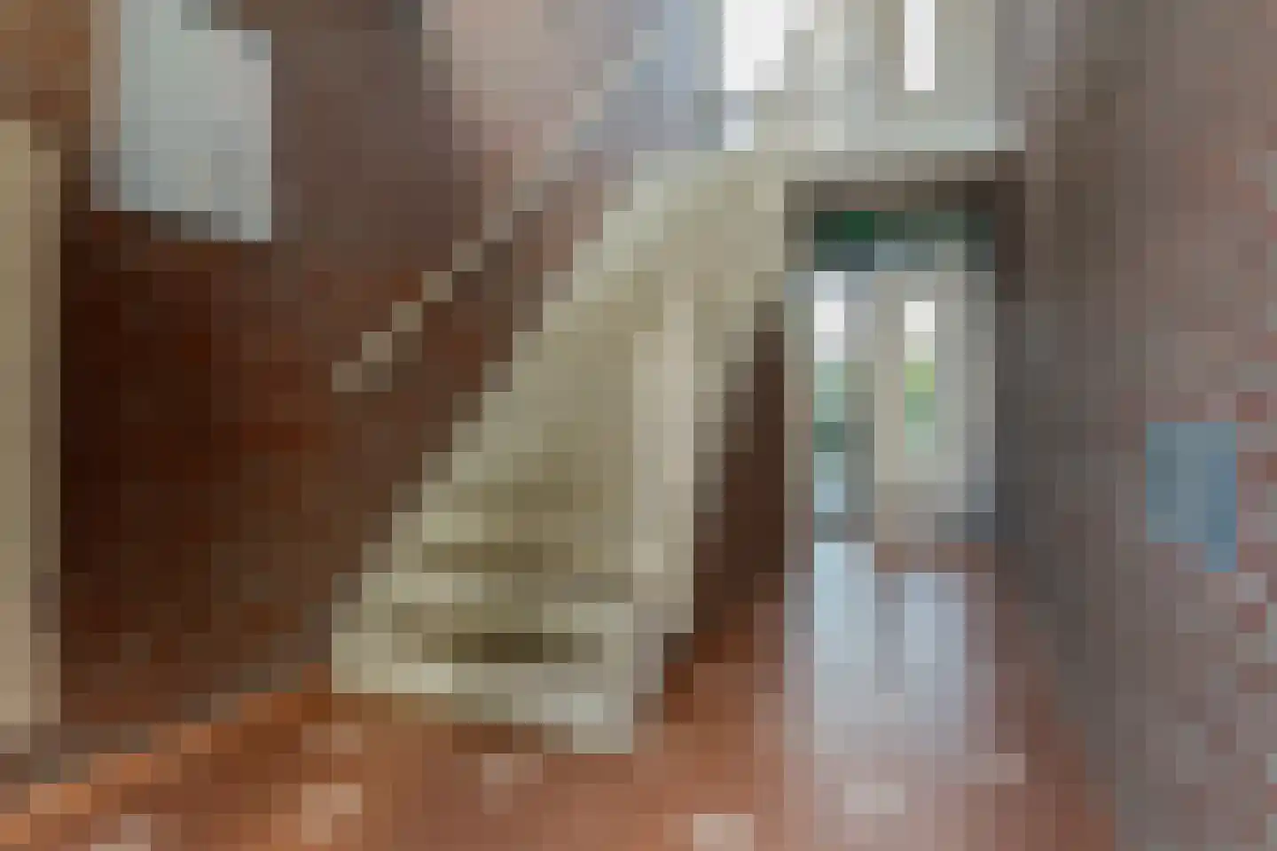 Van der Laenstraat 124 Zwolle thumbnail 39