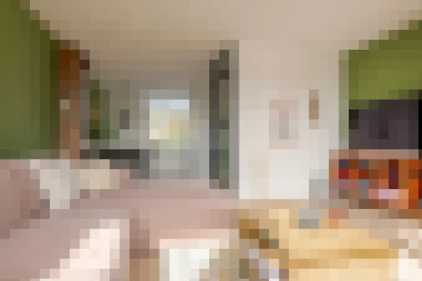 Van der Laenstraat 124 Zwolle thumbnail 4