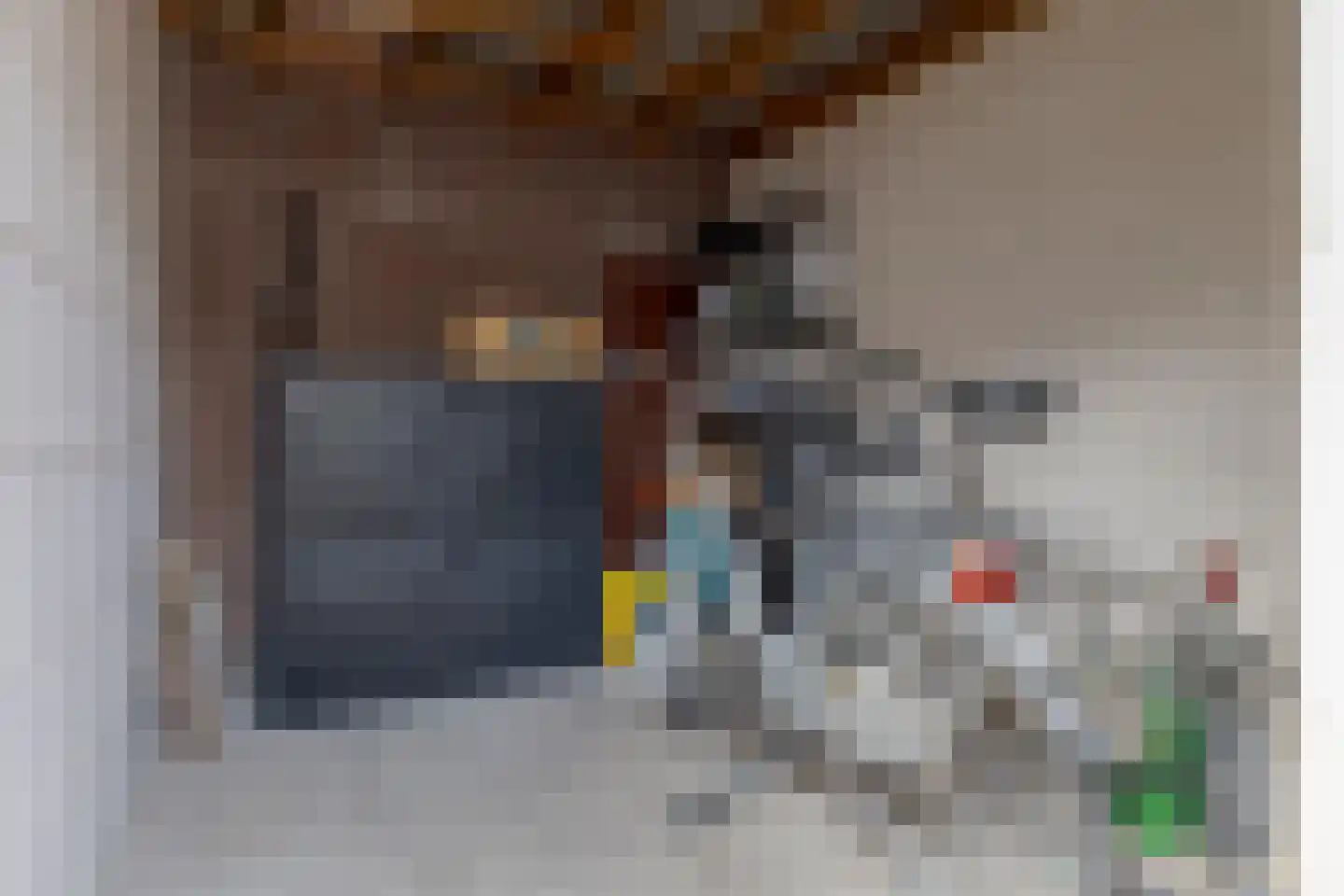 Van der Laenstraat 124 Zwolle thumbnail 47