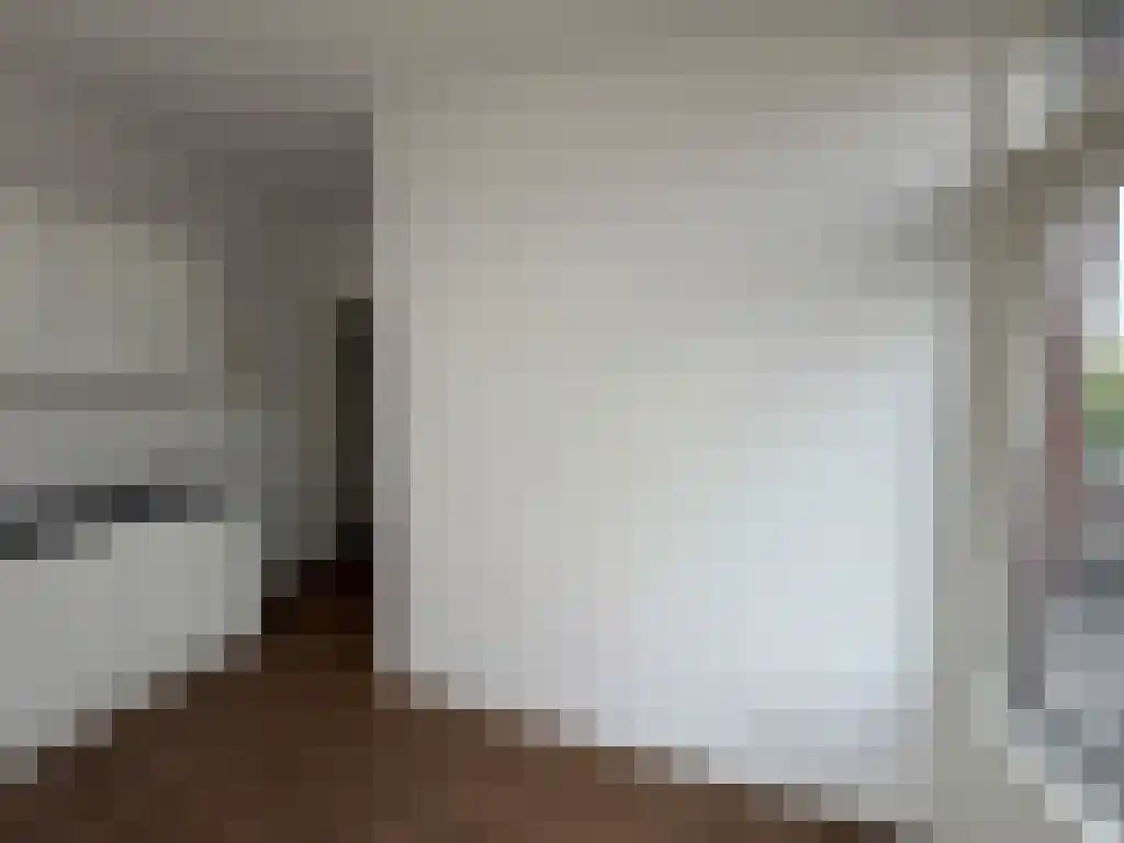Van der Laenstraat 44 Zwolle thumbnail 4