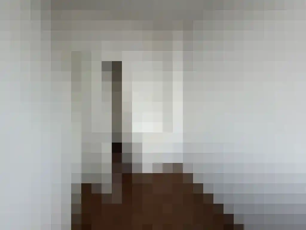 Van der Laenstraat 44 Zwolle thumbnail 6