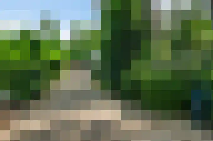 Van der Landelaan 25 Herkenbosch thumbnail 4