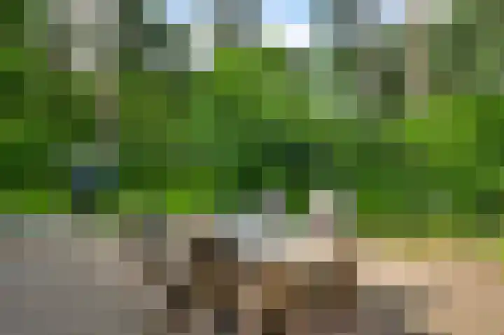 Van der Landelaan 25 Herkenbosch thumbnail 41