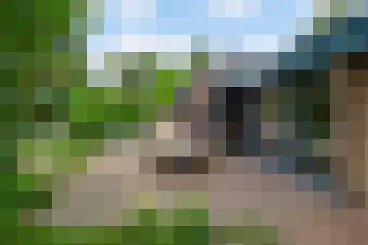 Van der Landelaan 25 Herkenbosch thumbnail 45