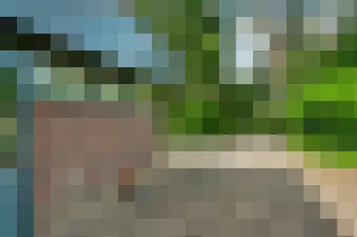 Van der Landelaan 25 Herkenbosch thumbnail 6