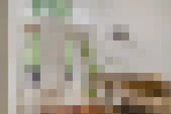 Van der Landelaan 25 Herkenbosch thumbnail 8