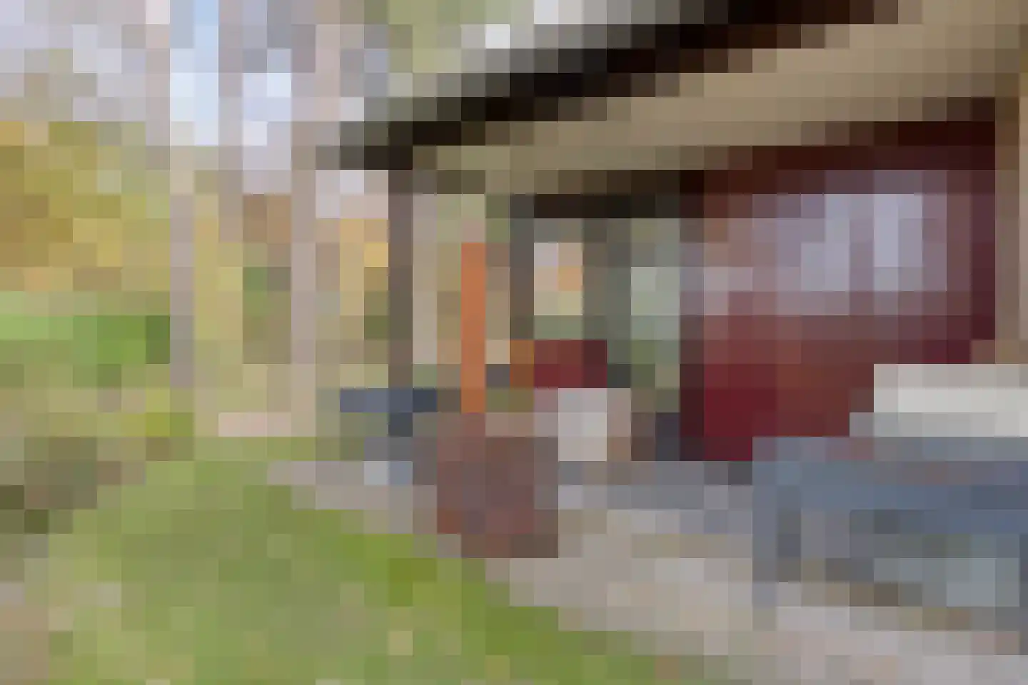 Van der Landelaan 29 Herkenbosch thumbnail 37