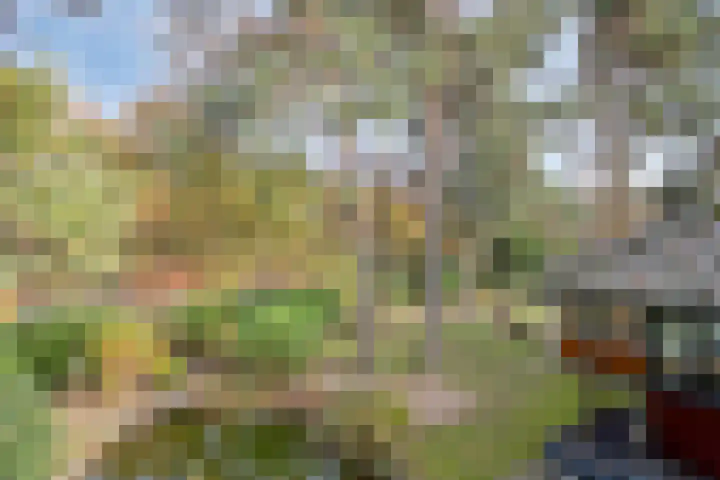 Van der Landelaan 29 Herkenbosch thumbnail 38