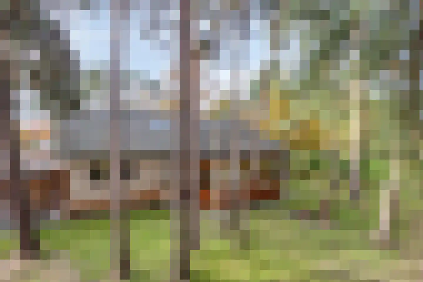 Van der Landelaan 29 Herkenbosch thumbnail 45