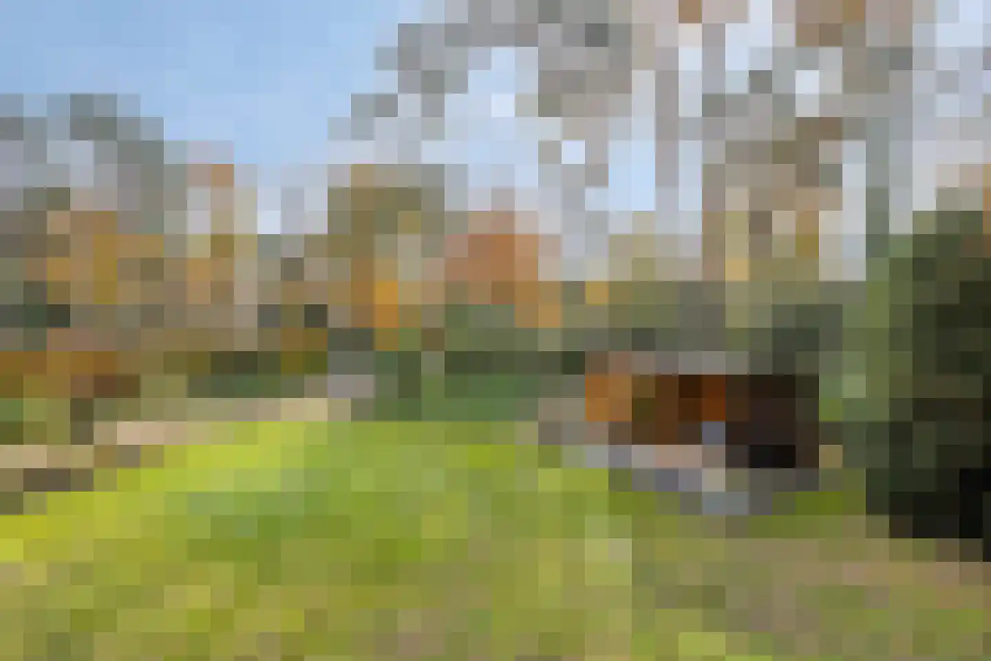 Van der Landelaan 29 Herkenbosch thumbnail 46