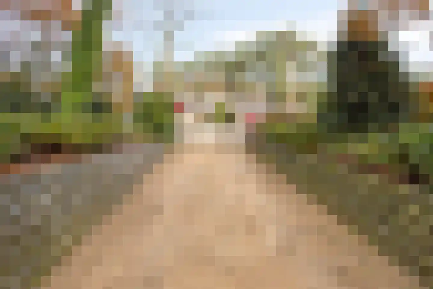 Van der Landelaan 29 Herkenbosch thumbnail 5