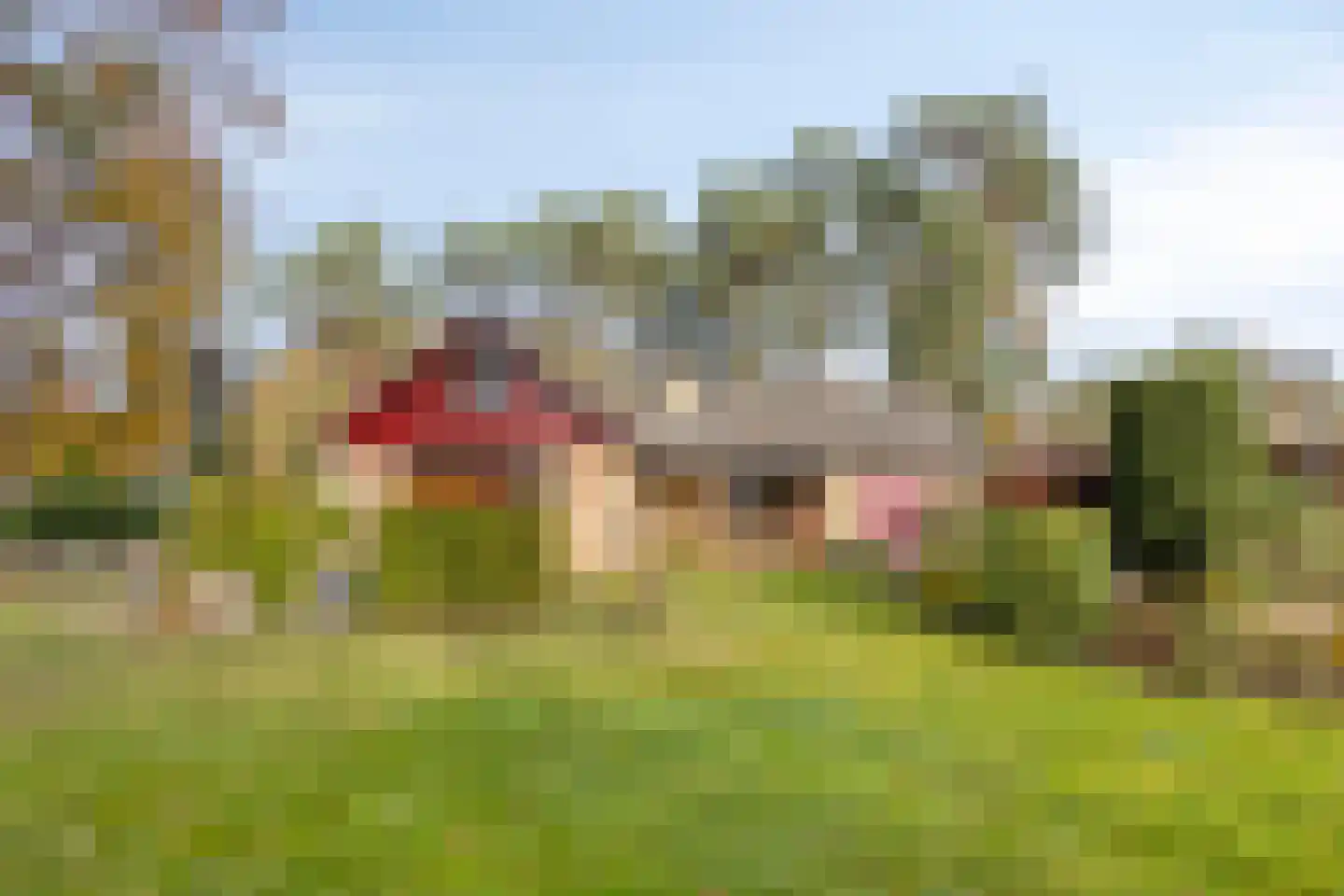 Van der Landelaan 29 Herkenbosch thumbnail 56
