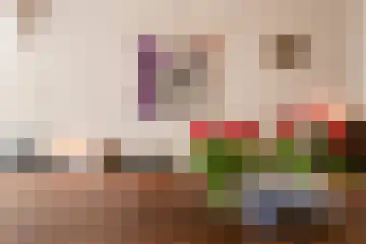van der Lansstraat 3 Eindhoven thumbnail 15