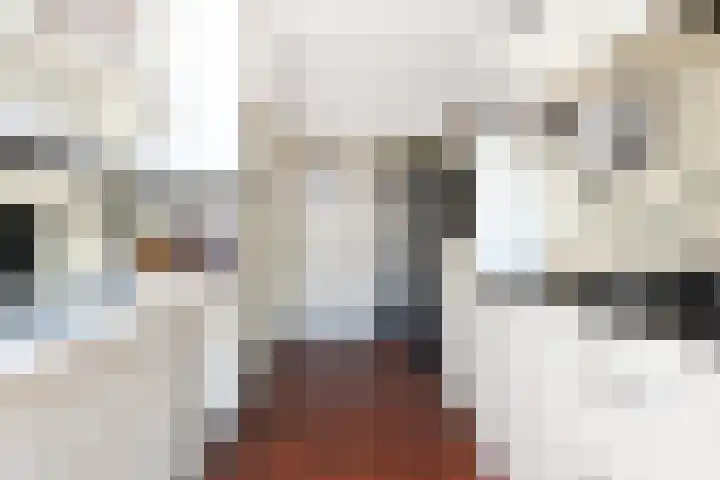 van der Lansstraat 3 Eindhoven thumbnail 18