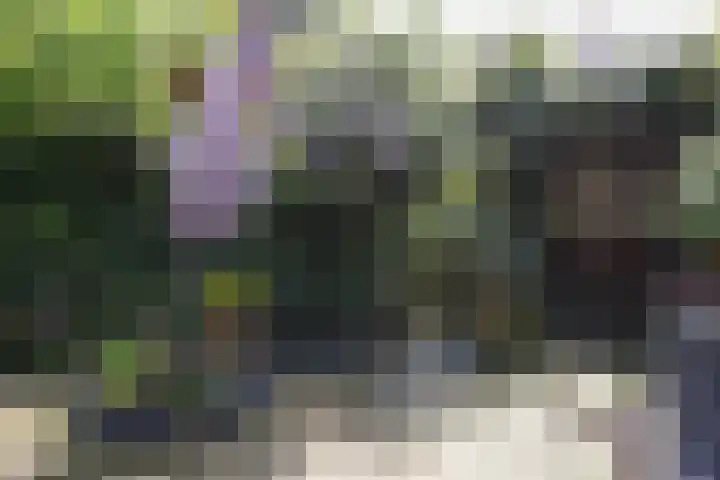 van der Lansstraat 3 Eindhoven thumbnail 21
