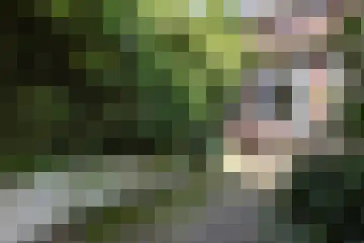 van der Lansstraat 3 Eindhoven thumbnail 23
