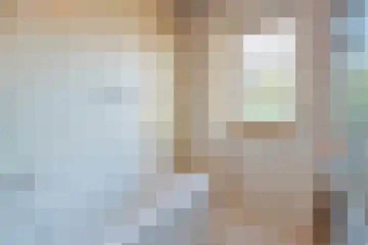 van der Lansstraat 3 Eindhoven thumbnail 33