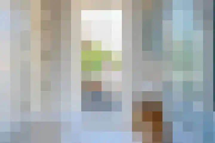 van der Lansstraat 3 Eindhoven thumbnail 34