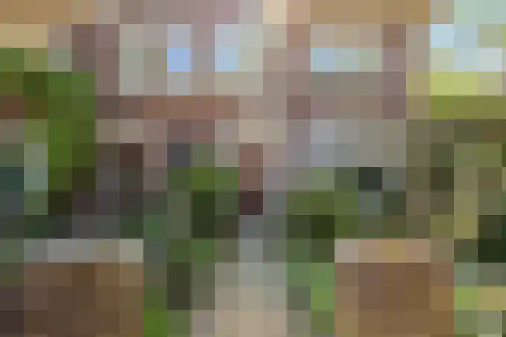 van der Lansstraat 3 Eindhoven thumbnail 4