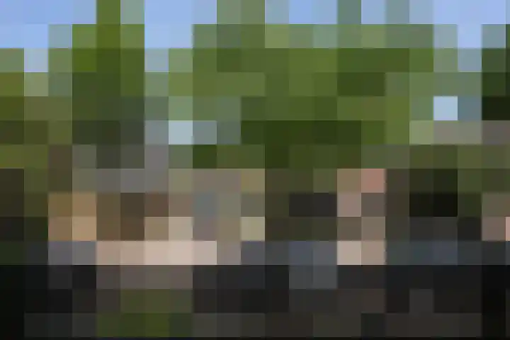van der Lansstraat 3 Eindhoven thumbnail 40