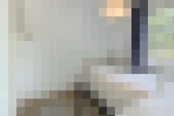 van der Lansstraat 3 Eindhoven thumbnail 42
