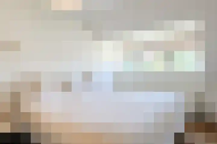 van der Lansstraat 3 Eindhoven thumbnail 43