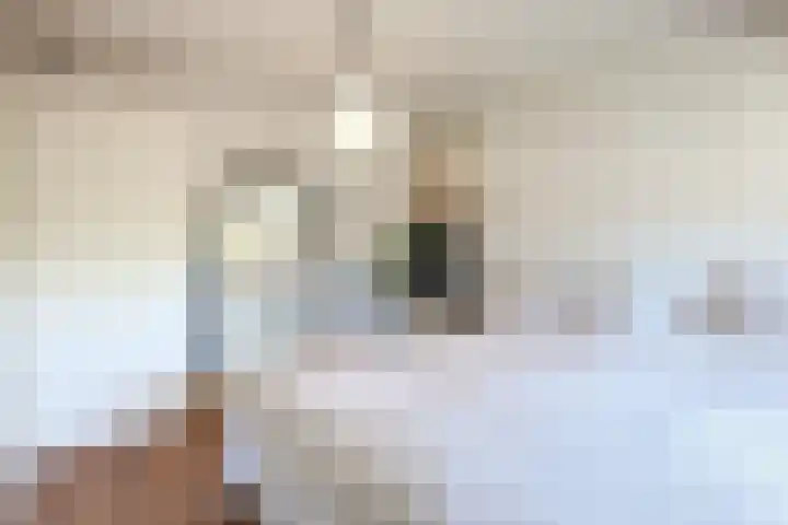 van der Lansstraat 3 Eindhoven thumbnail 45