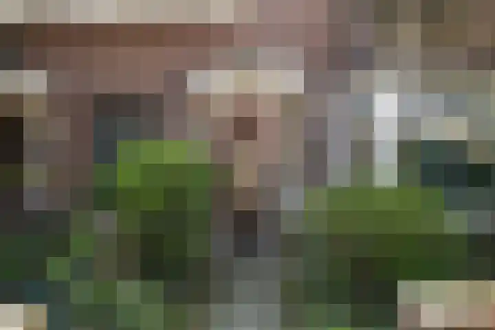 van der Lansstraat 3 Eindhoven thumbnail 5