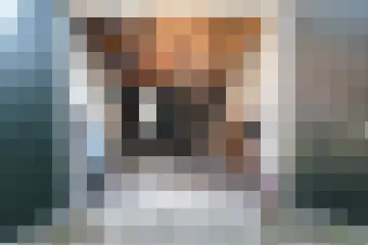 van der Lansstraat 3 Eindhoven thumbnail 54
