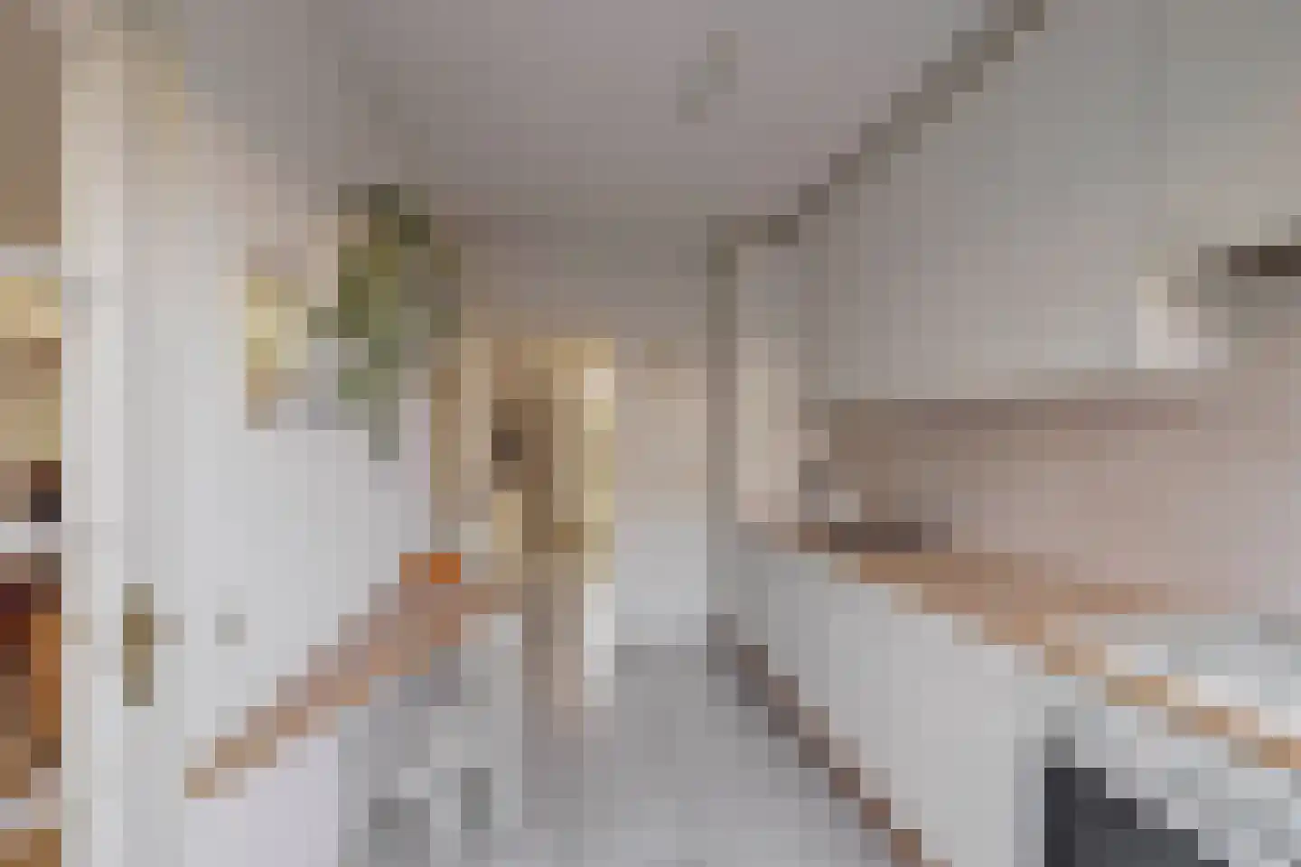 van der Lecklaan 3 Nieuwegein thumbnail 17