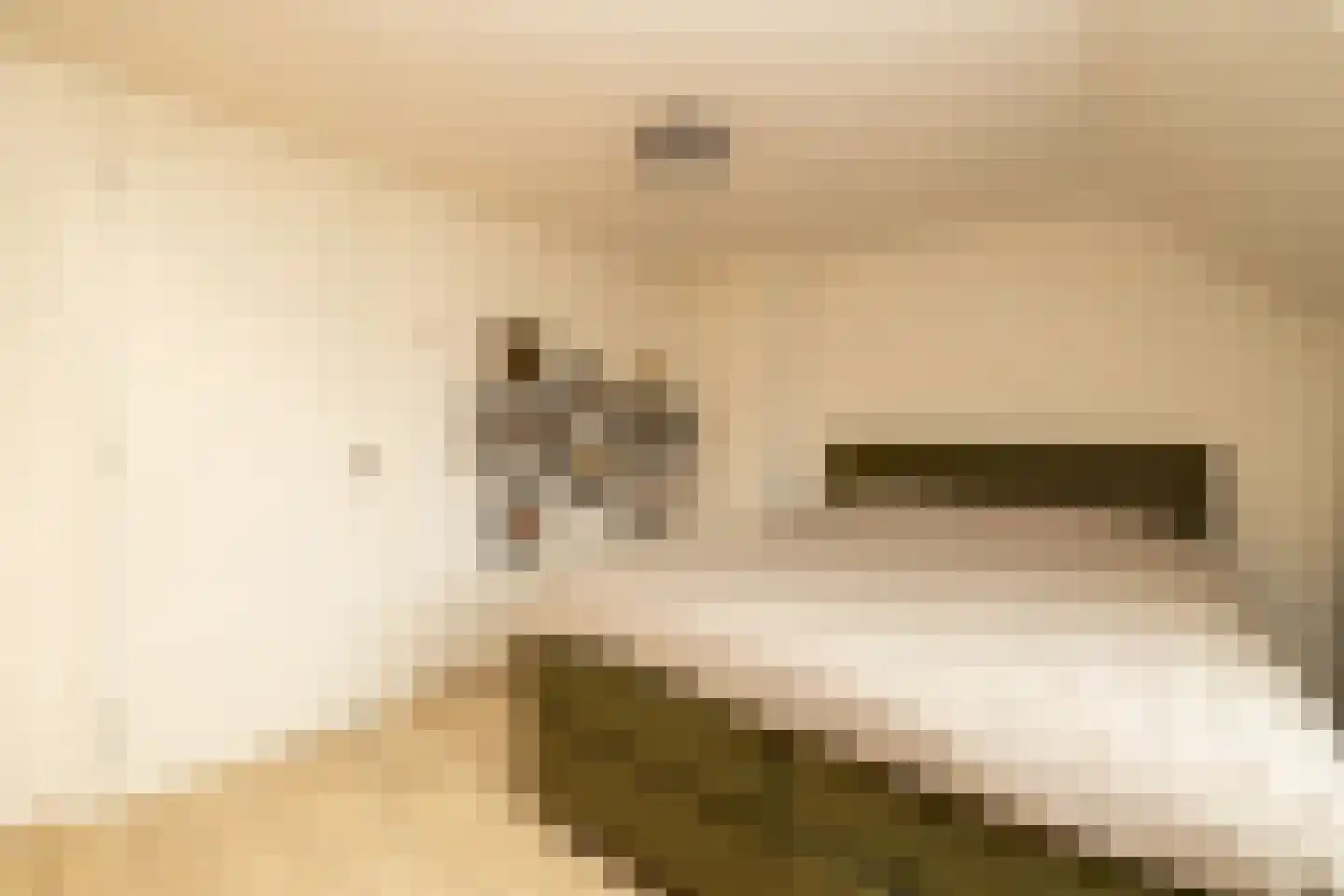 Van der Ledestraat 8 Haastrecht thumbnail 31
