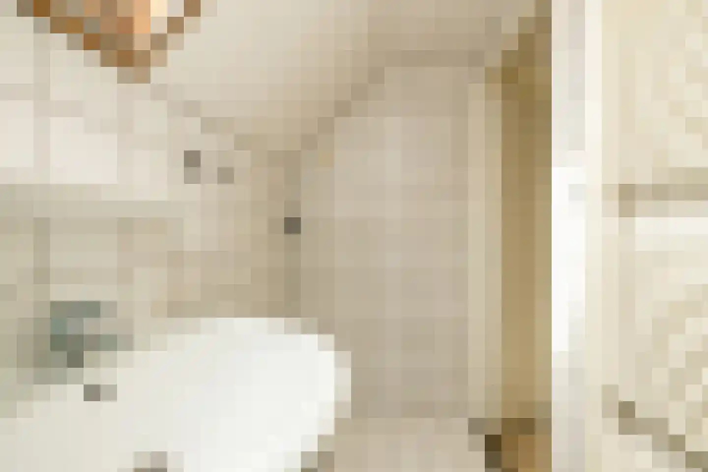 Van der Ledestraat 8 Haastrecht thumbnail 40