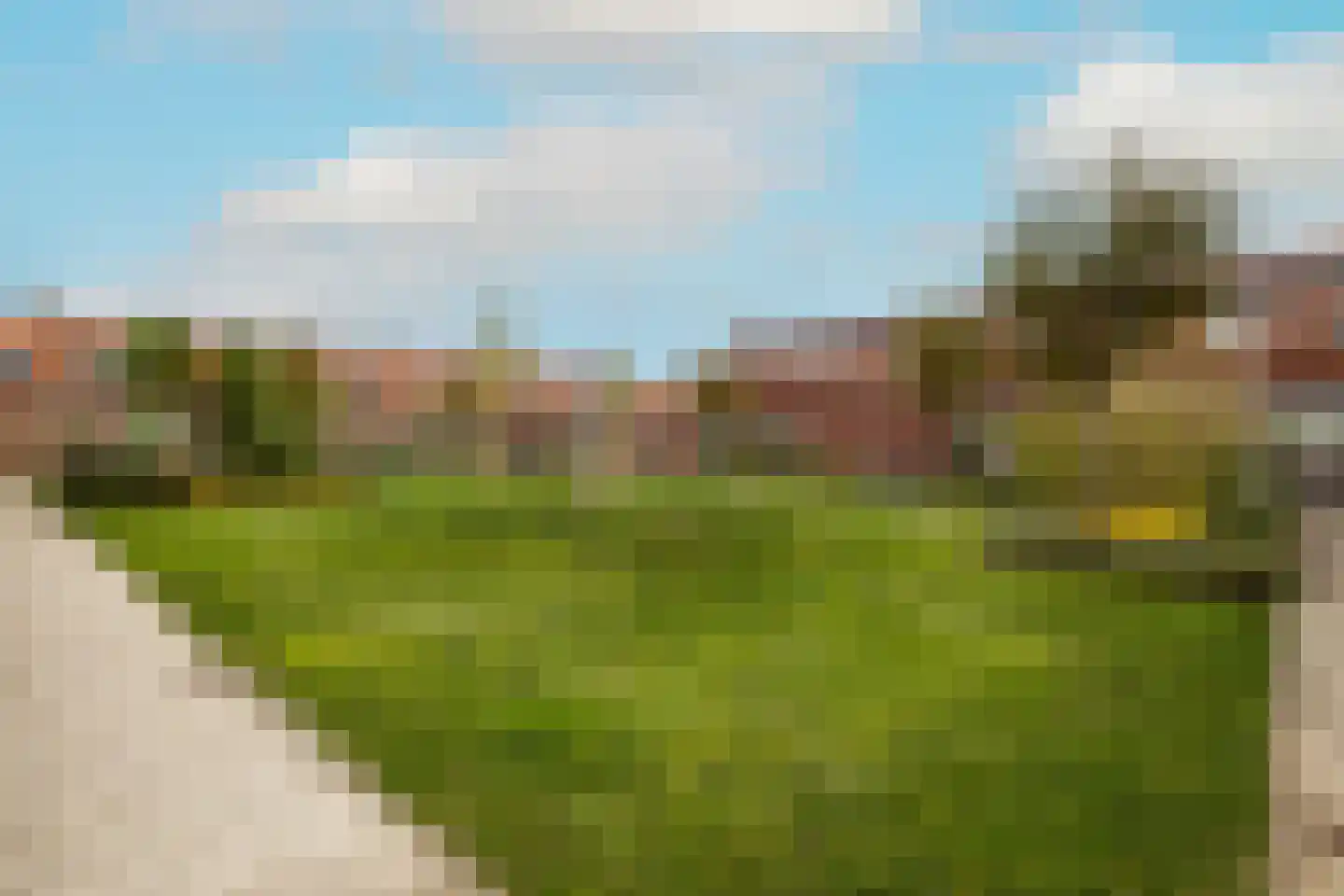 Van der Ledestraat 8 Haastrecht thumbnail 48
