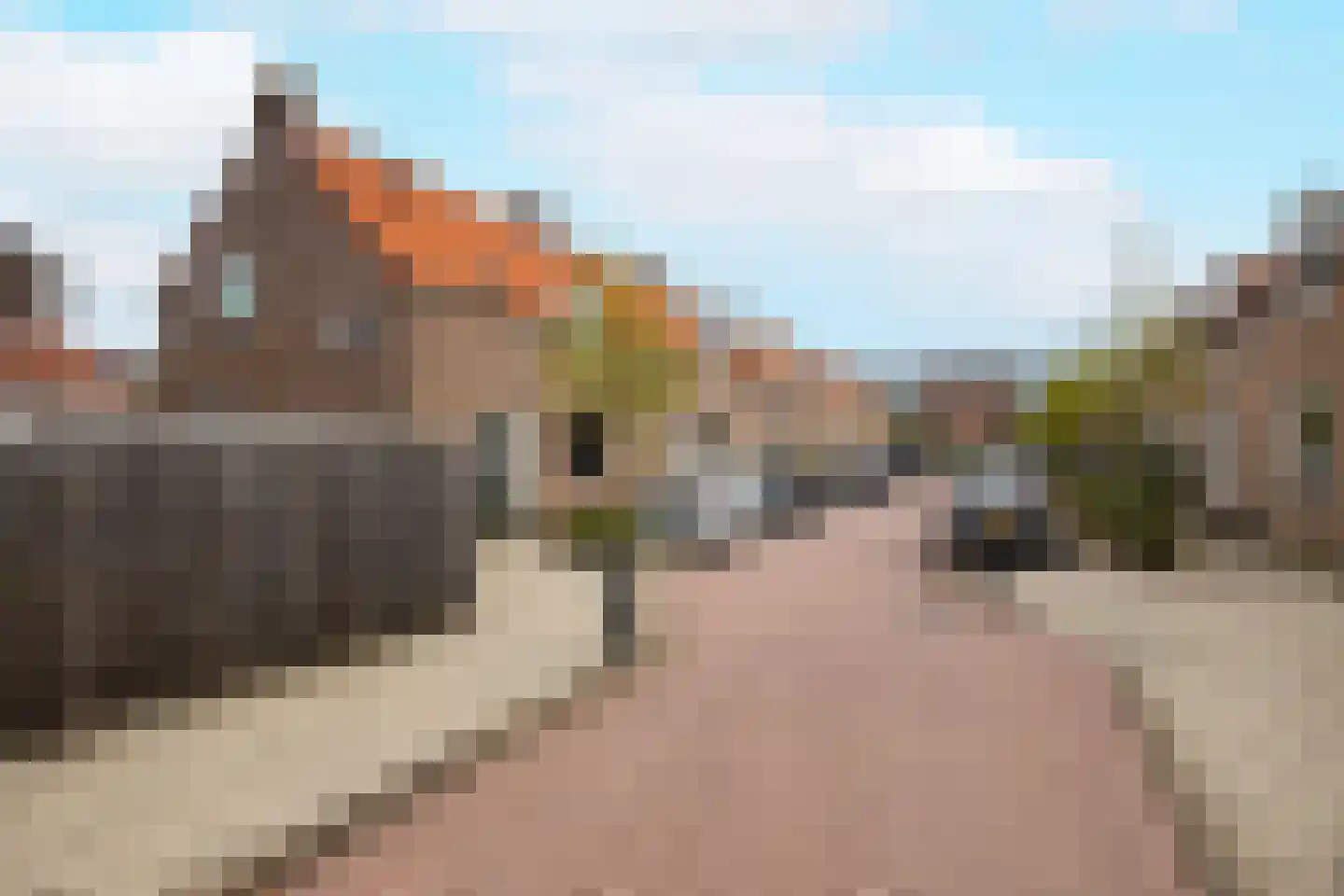 Van der Ledestraat 8 Haastrecht thumbnail 53