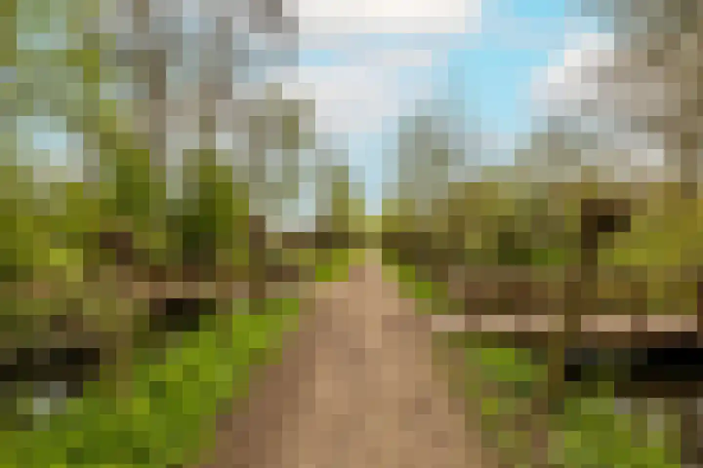 Van der Ledestraat 8 Haastrecht thumbnail 56