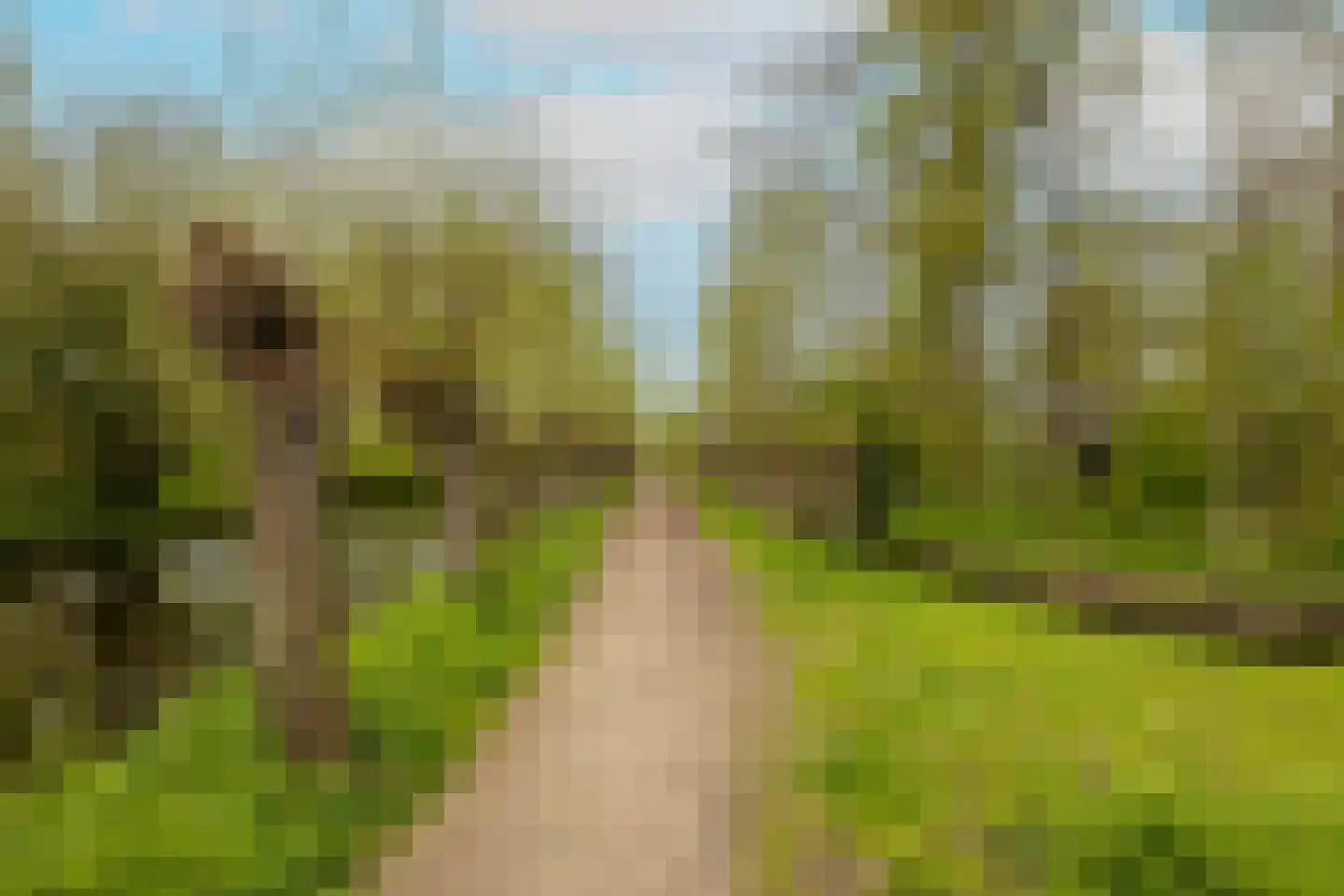 Van der Ledestraat 8 Haastrecht thumbnail 6