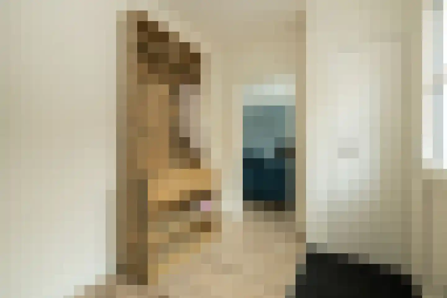 Van der Ledestraat 8 Haastrecht thumbnail 9
