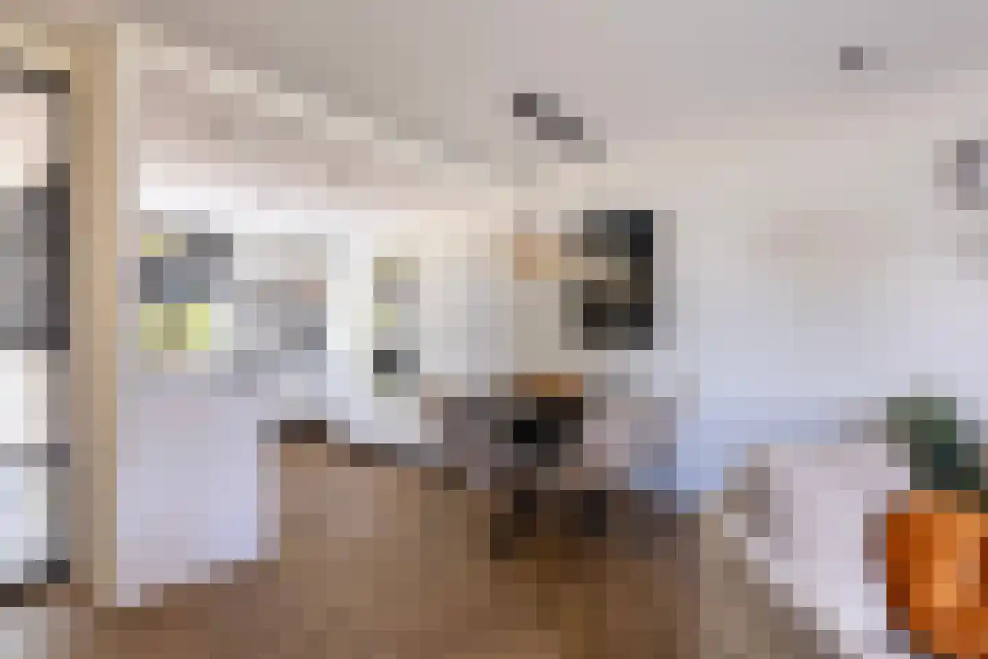 Van der Ledestraat 9 Lopik thumbnail 13