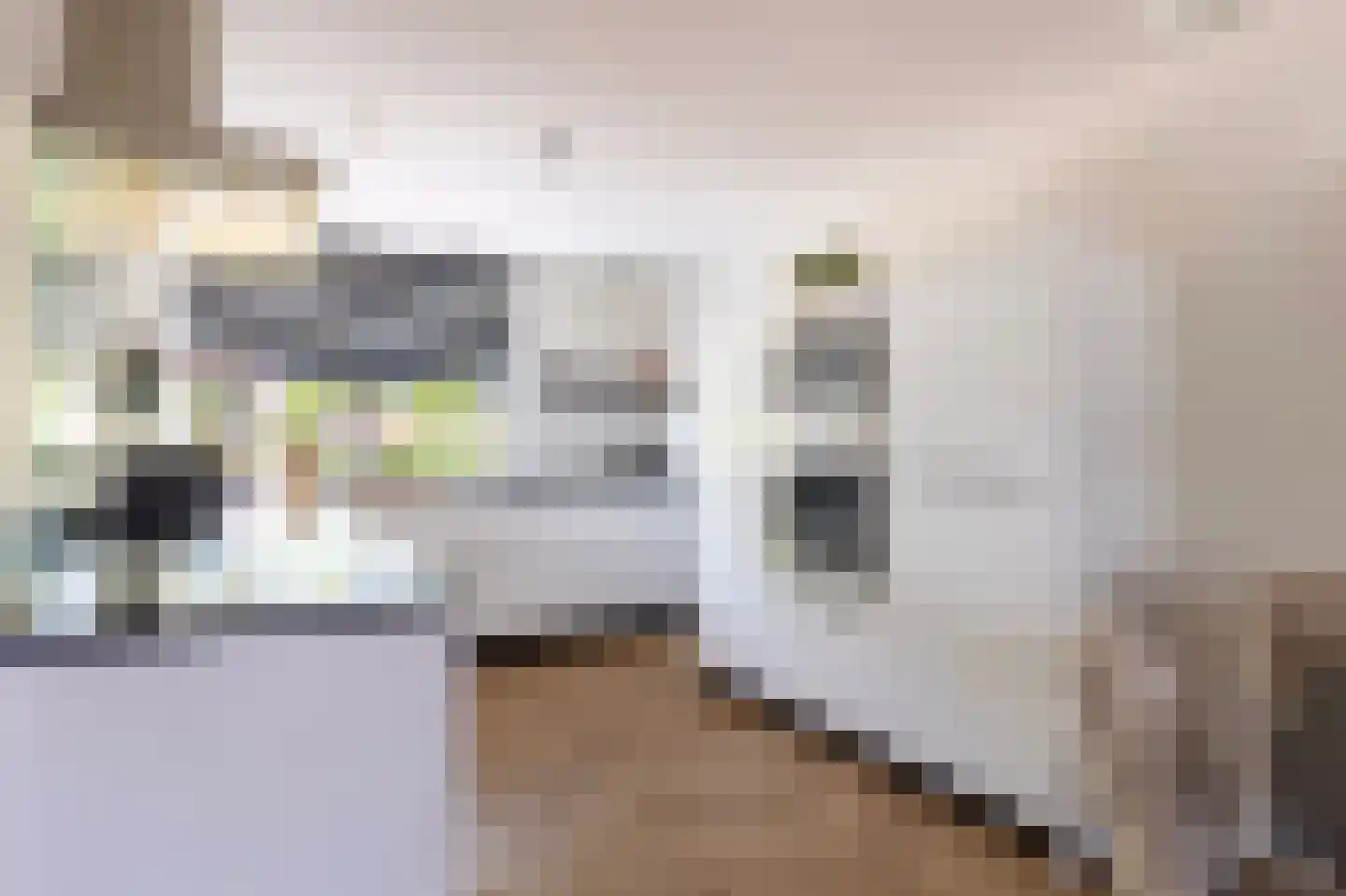Van der Ledestraat 9 Lopik thumbnail 14