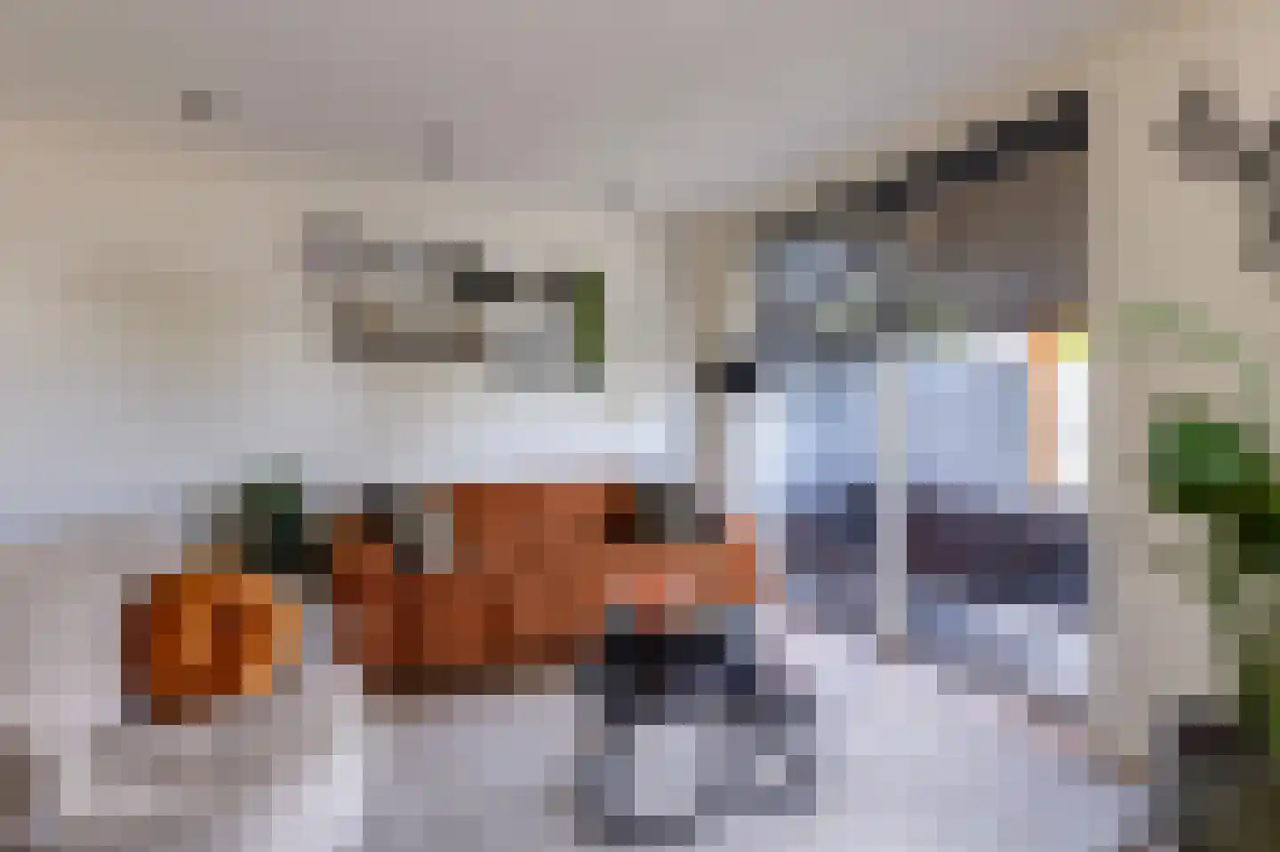 Van der Ledestraat 9 Lopik thumbnail 9