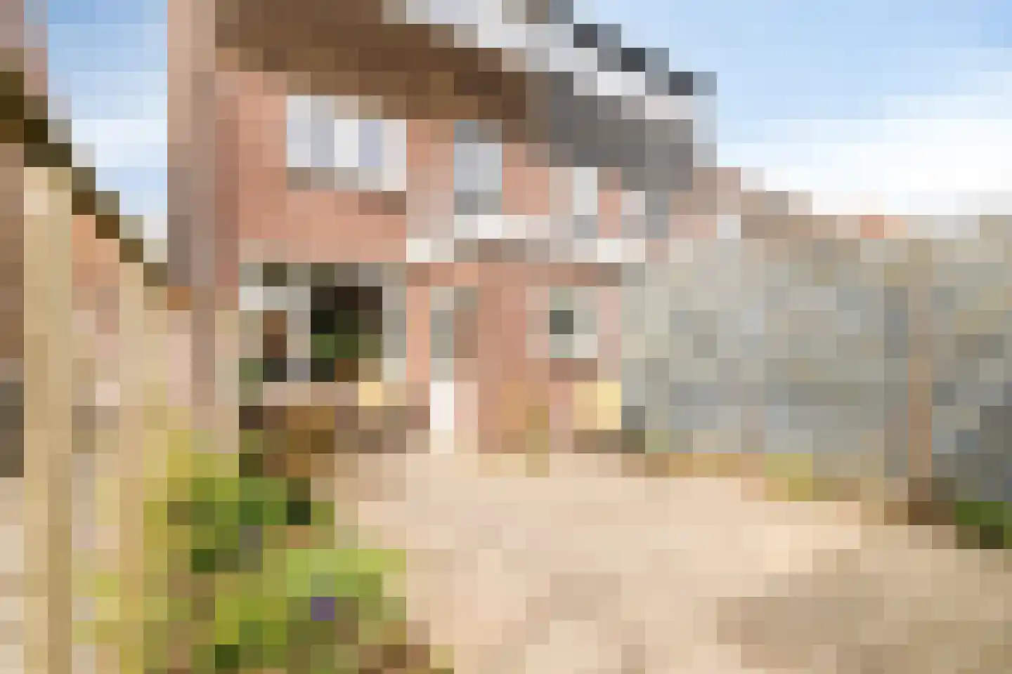 Van der Leestraat 13 Alblasserdam thumbnail 15