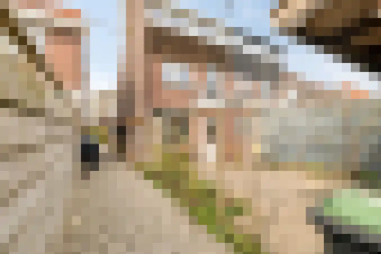 Van der Leestraat 13 Alblasserdam thumbnail 19